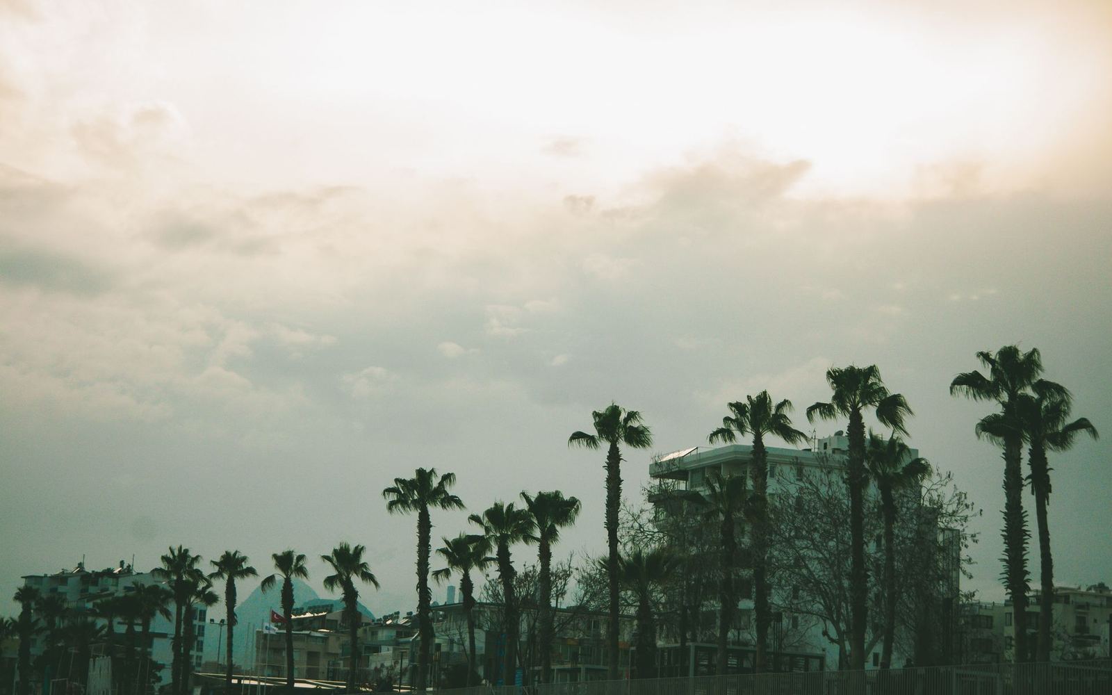 Yankı Antalya